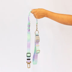 Collar de Seguridad Dino – Cuerda de tracción telescópica para coche con collar en colores degradados.