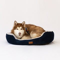 Cama Kira para Perro – Confort y estilo moderno.