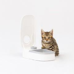 Comedero Automático Didi - Alimentador temporizador para gatos y perros con doble cuenco