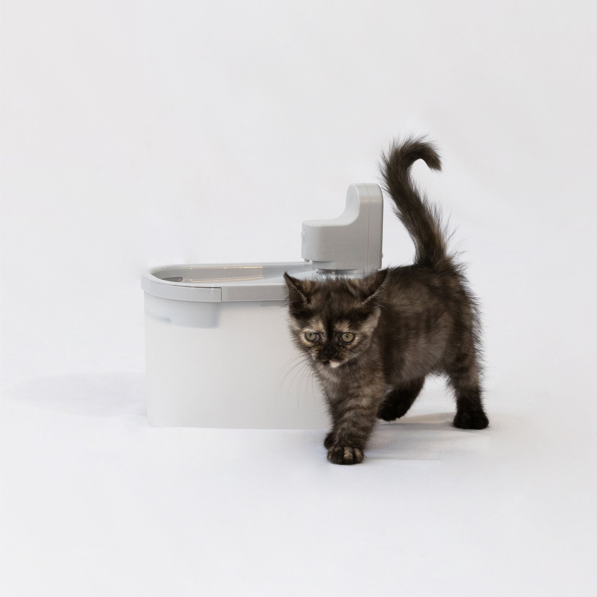 Bebedero Automático Toto - Fuente de Agua con Circulación Automática para Gatos y Perros