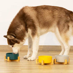 Bowl Cerámico Mity - Cuenco de Cerámica para Gatos y Perros con Soporte de Madera