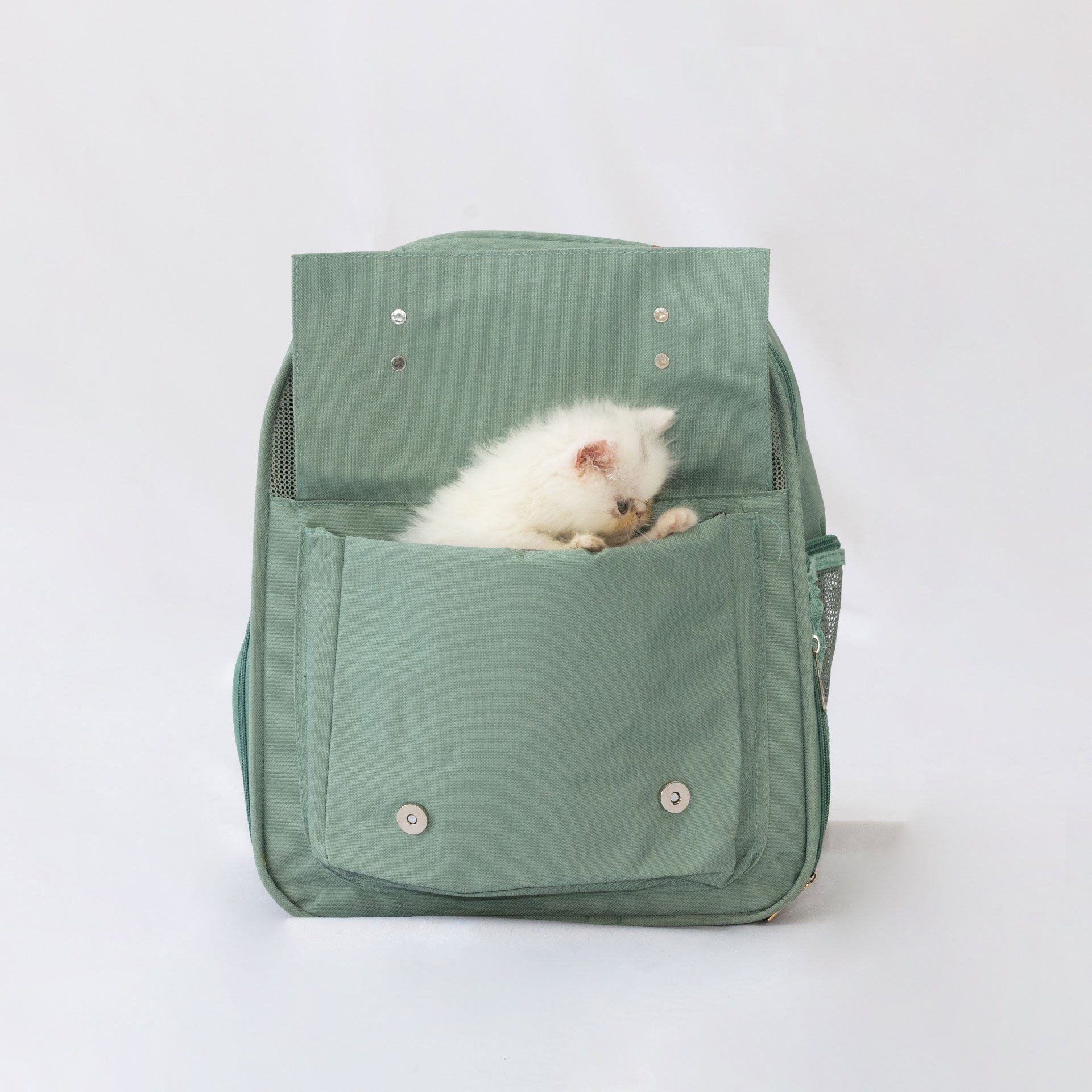 Bolso de Gato Nina – Transporte elegante y seguro para Tu mascota