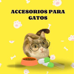 Accesorios para gatos