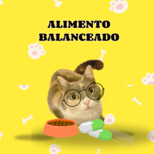 Alimento balanceado