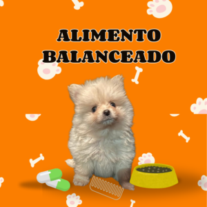 Alimento balanceado