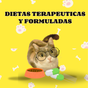 Dietas terapéuticas y formuladas