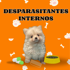 Desparasitantes internos