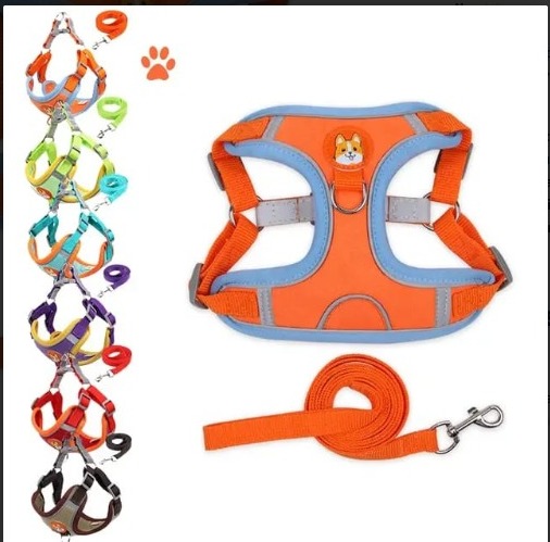 Pechera Estampada con Lazo Incluido 🐾✨ - Image 2