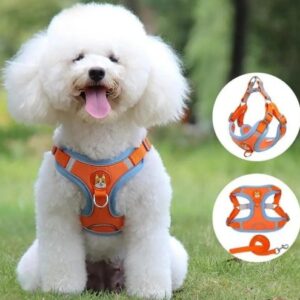 Pechera Estampada con Lazo Incluido 🐾✨