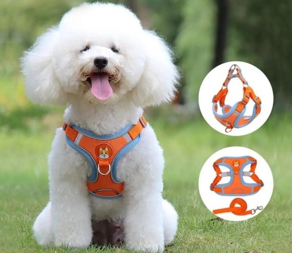 Pechera Estampada con Lazo Incluido 🐾✨