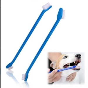 Kit cepillo de dientes