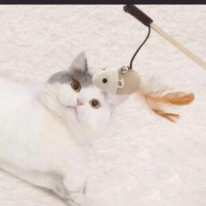 Varita Interactiva en madera