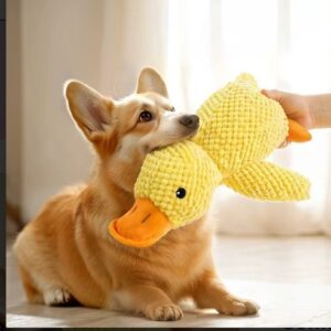 Peluche Pato para Perros con Sonido