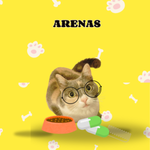 Arenas